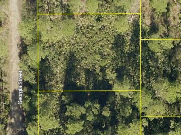 Georgia St, Paisley, FL 32767