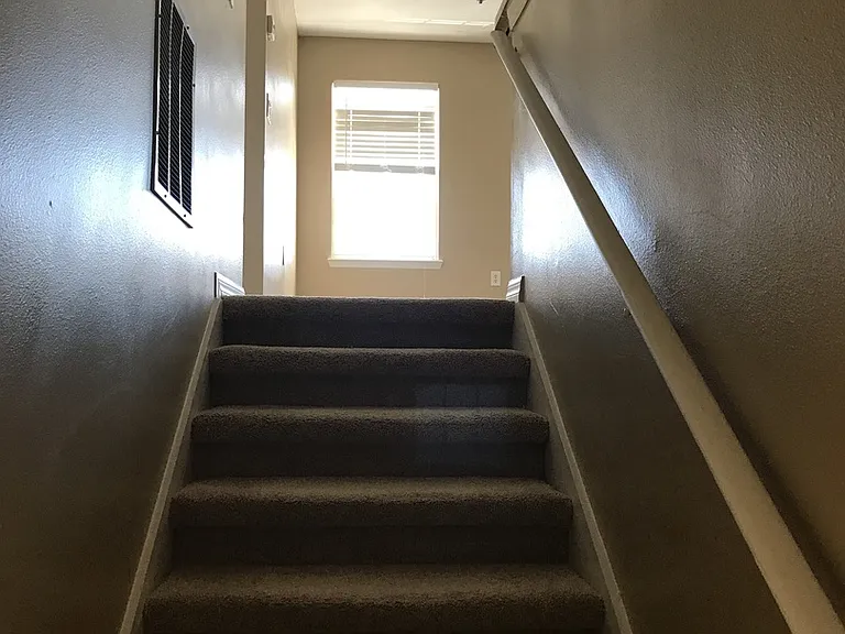 4020 Pemberly Pines Cir — Photo 5