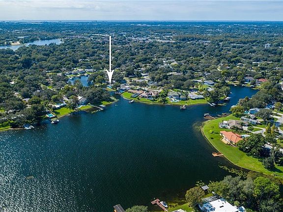 3rd image of 10613 Carrollwood Dr