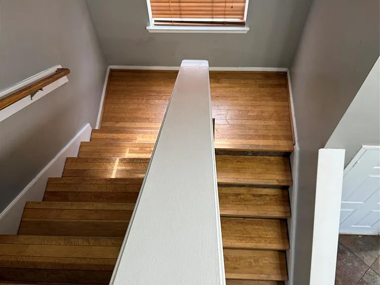 20823 Camphor Tree Dr — Photo 14
