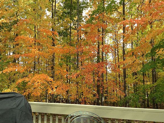 5th image of 2731 Stonebridge Ct