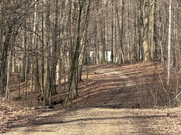 38th St, Gobles, MI 49055