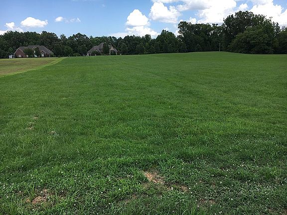 3rd image of 85 Lake Pointe Cv