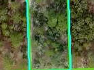 11391 Mississippi Kite Ave, Brooksville, FL 34614