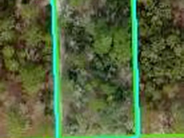 11391 Mississippi Kite Ave, Brooksville, FL 34614