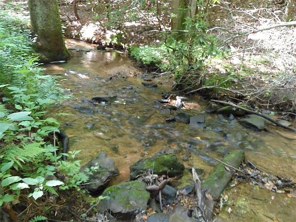3rd image of 1001 Amicalola Dr