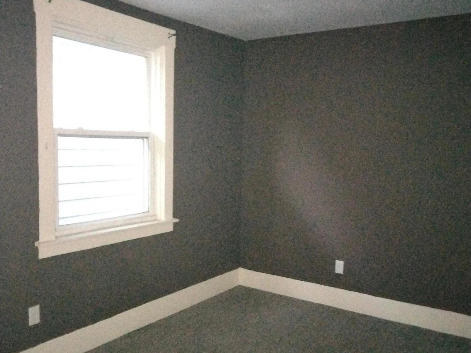 2 bed, 800 sqft, $1,250 — Photo 1