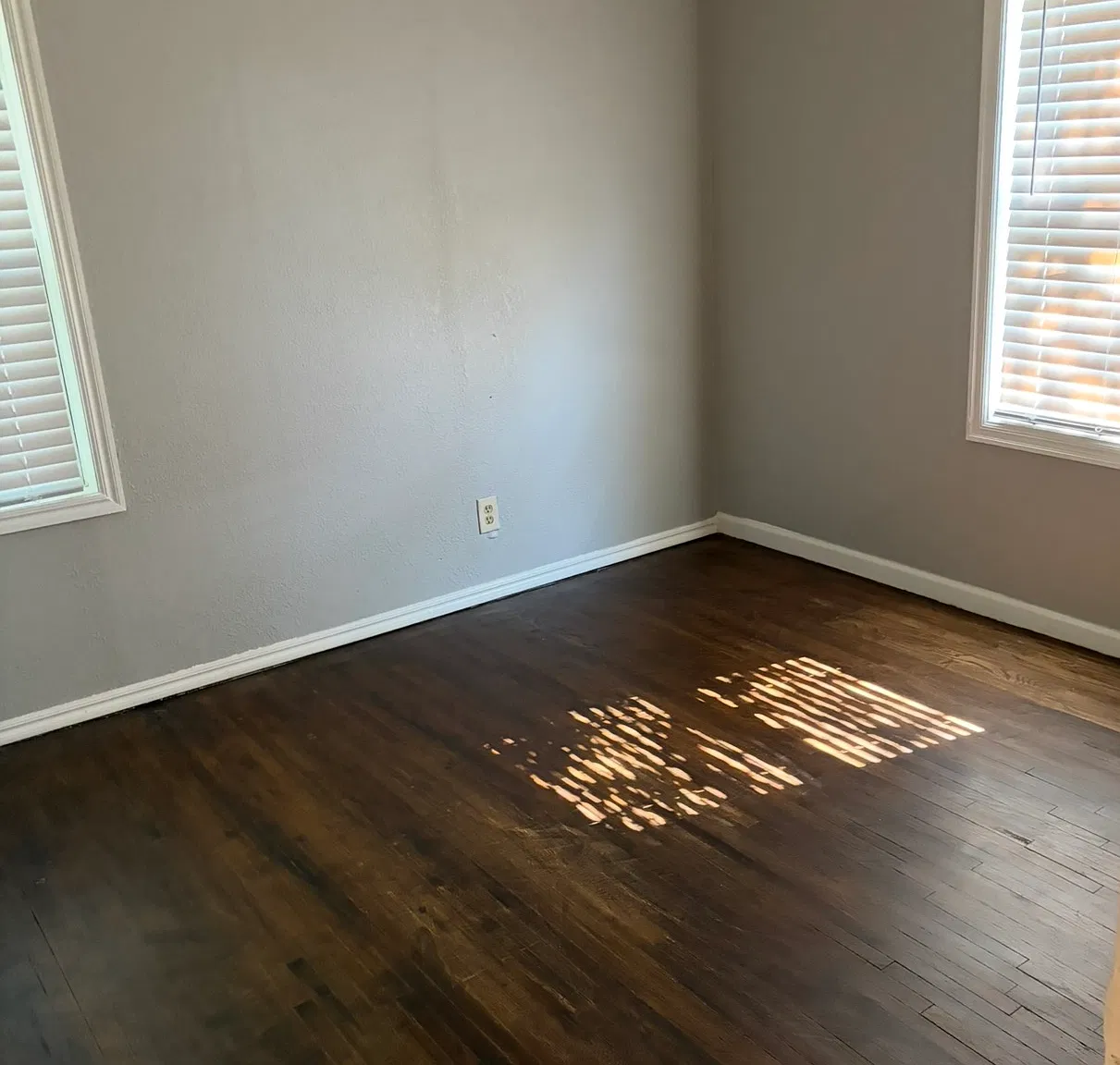 2 bed, 800 sqft, $1,060 — Photo 2