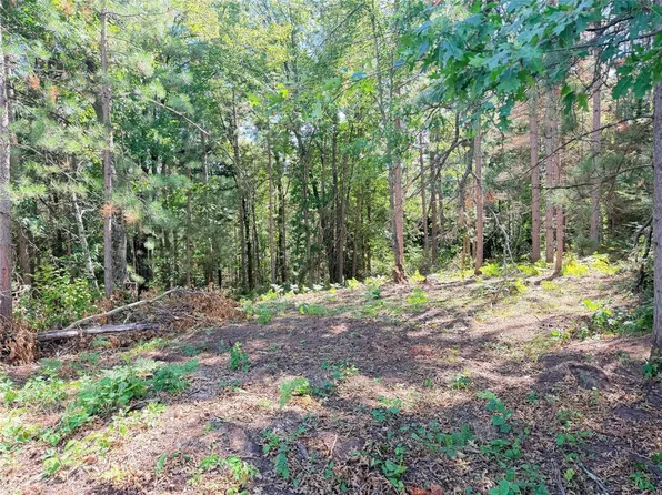 Lot 3 Boat Landing Road, Ladysmith, WI 54848