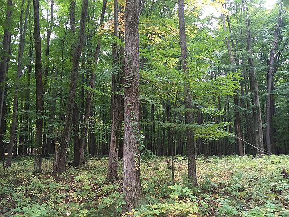 5th image of Skrzypchak Ln Lot 2