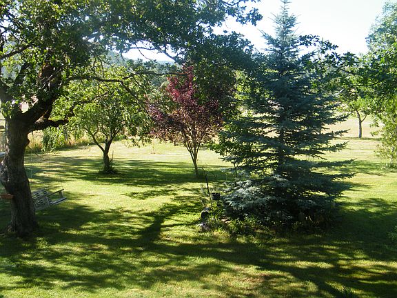 2nd image of 1355 Rogue River Dr