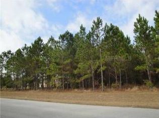 6809 Silver Charm Ct, Leesburg, FL 34748