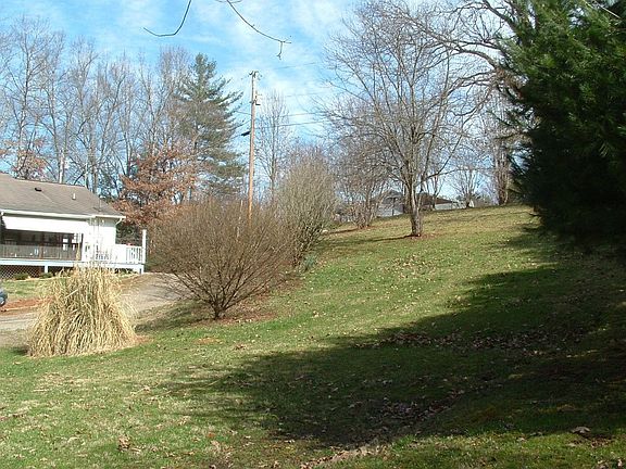 PORTION OF BACK YARD