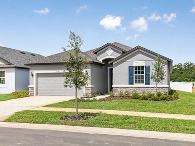 1096 Davis Heather Cir, Seffner, FL, 33584