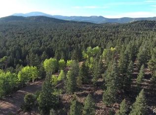 569 Bounty Hunter Ln, Bailey, CO 80421