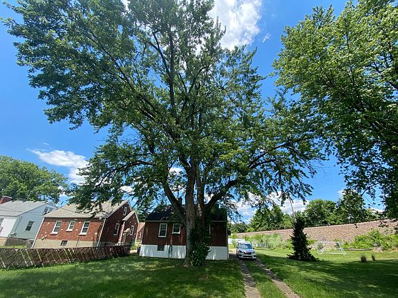 Large back yard. Not fenced in.