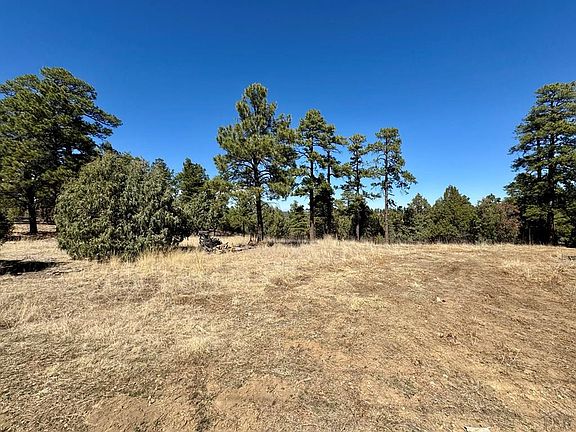 5th image of 34999 Timber Park Dr