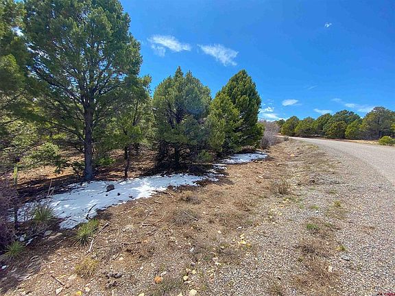 5th image of TBD  (Lot 37) Pine Drive