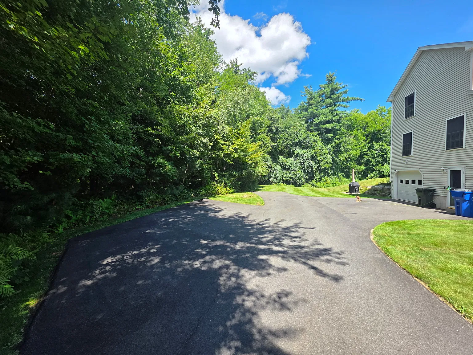 3 bed, 1800 sqft, $2,900 — Photo 3