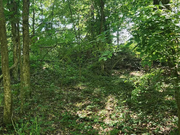 LOT 9 Basin St, Jefferson, TX 75657