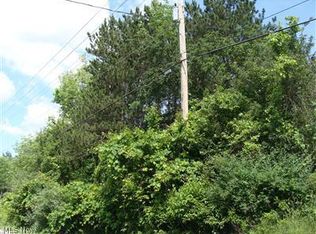 Laurel Rd, Brunswick, OH 44212