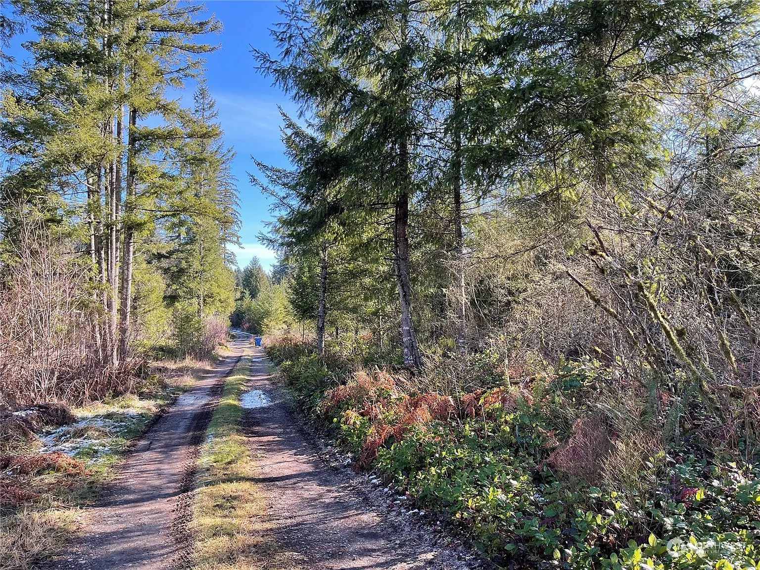 19 x Mountain Sun Road photo 1