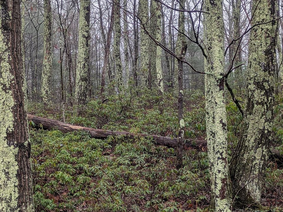 1st image of 97 Otens Road