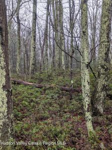 97 Otens Road, Ellenville, NY, 12428