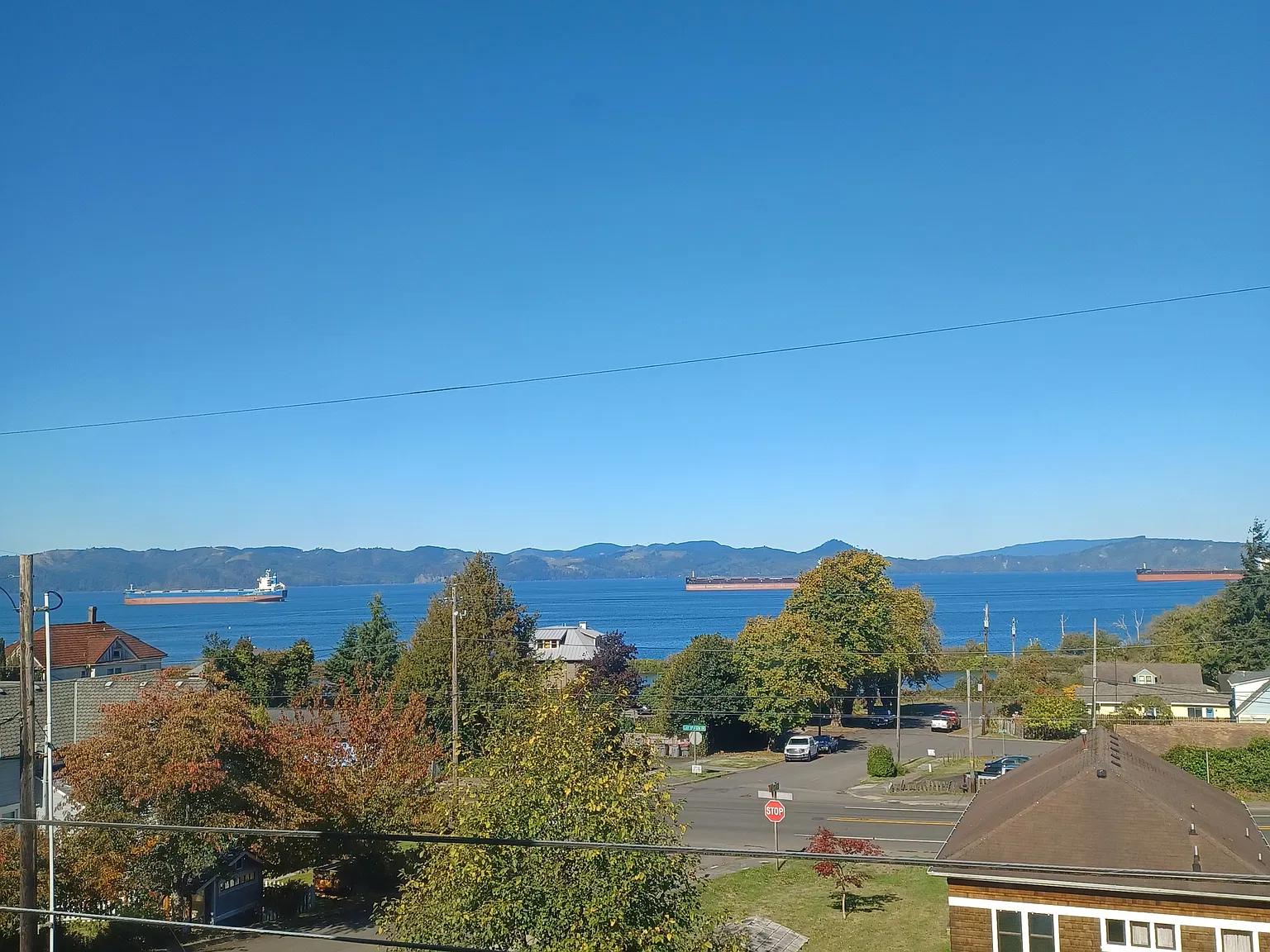1 bed, 470 sqft, $1,200 — Photo 3