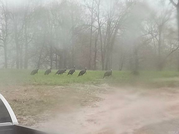 3rd image of 5681 Mc #5014