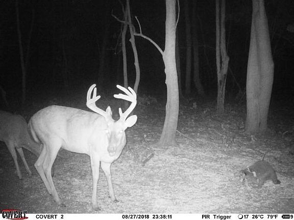 4th image of 0 Raccourci Island Rd