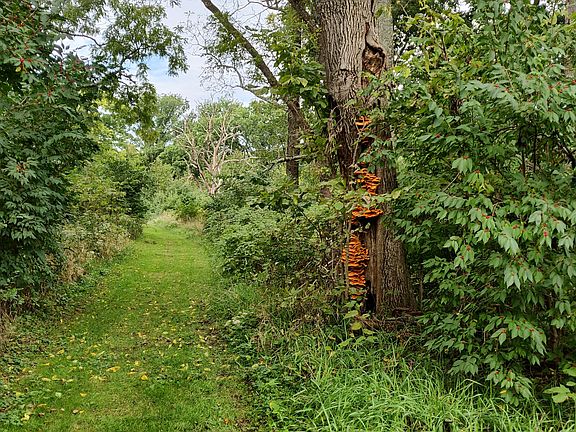 Pond Hiking Trail