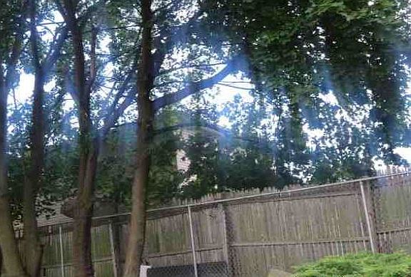 2nd image of 271 Wright St