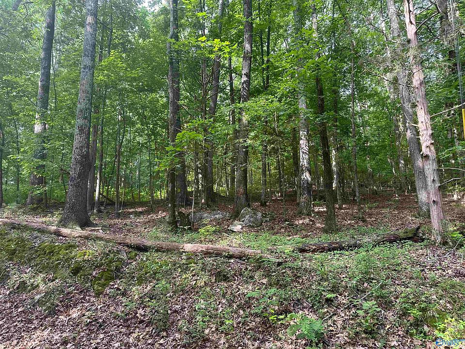 2nd image of LOT 9 Green Valley Rd