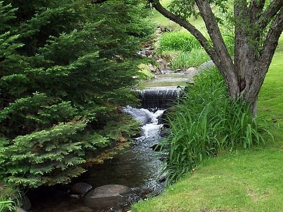 Brook running through yard