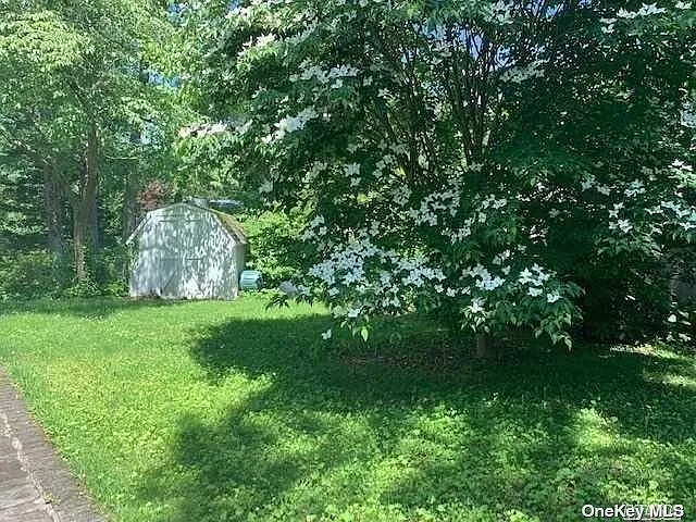 205 Hawthorne St — Photo 5