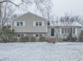 339 Meadowbrook Rd, Wyckoff, NJ 07481