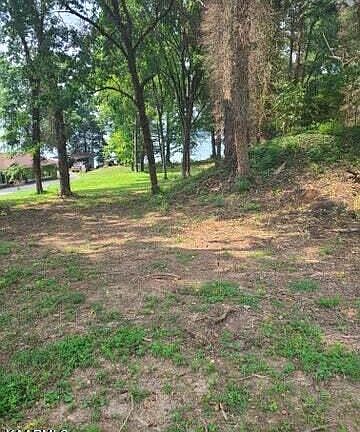 4th image of 240 Phillips Dr