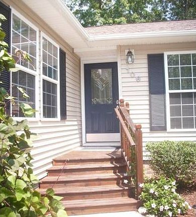 Front Door geriatric step