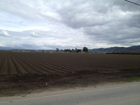 4th image of Lucy Brown Ln