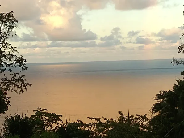 35-2064 Old Mamalahoa Hwy, Laupahoehoe, HI 96764