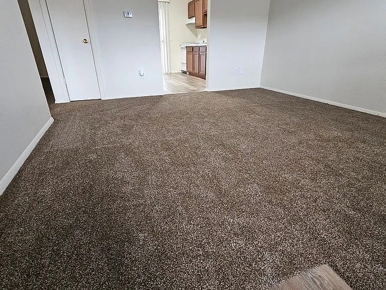 3906 W Sylvania Ave — Photo 45