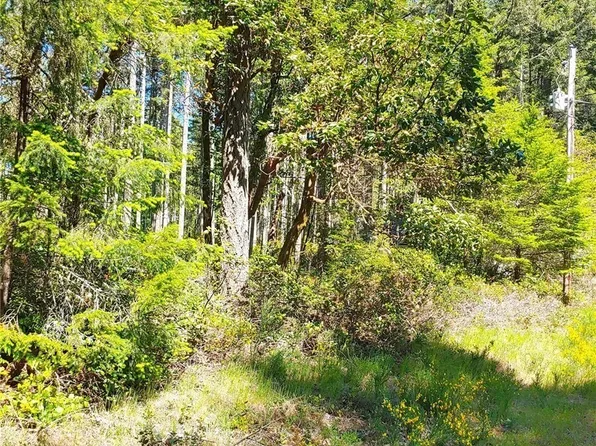 12121 Sunset Place, Anderson Island, WA 98303