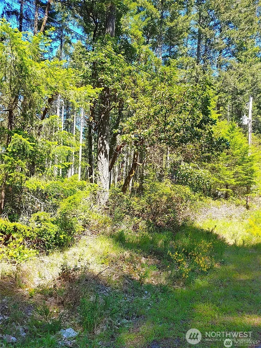 12121 Sunset Place photo 1