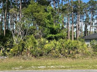 153 Ullian Trl Lot 20, Palm Coast, FL 32164