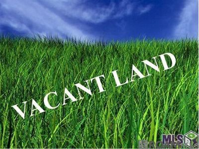 40311 Pocorello Dr, Gonzales, LA, 70737