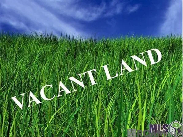 40311 Pocorello Dr, Gonzales, LA 70737