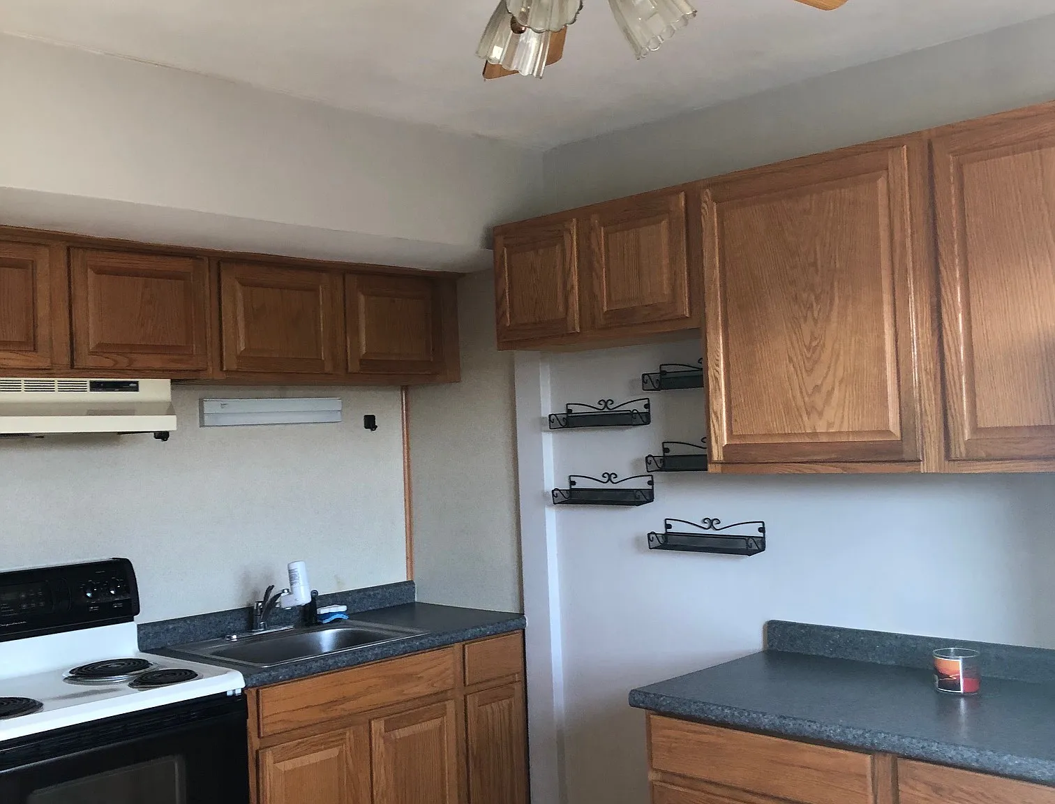 1 bed, $1,100 — Photo 4