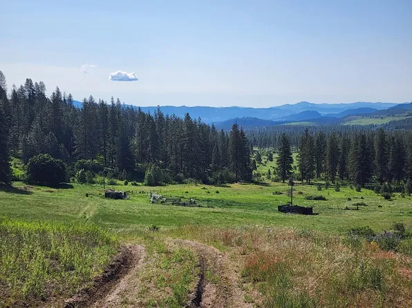 Xxx Hall Creek Rd, Inchelium, WA 99138