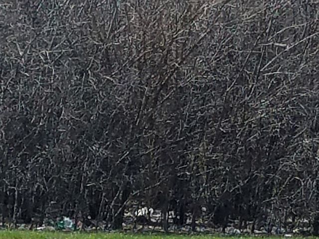 2nd image of 14312 Crawford Ave